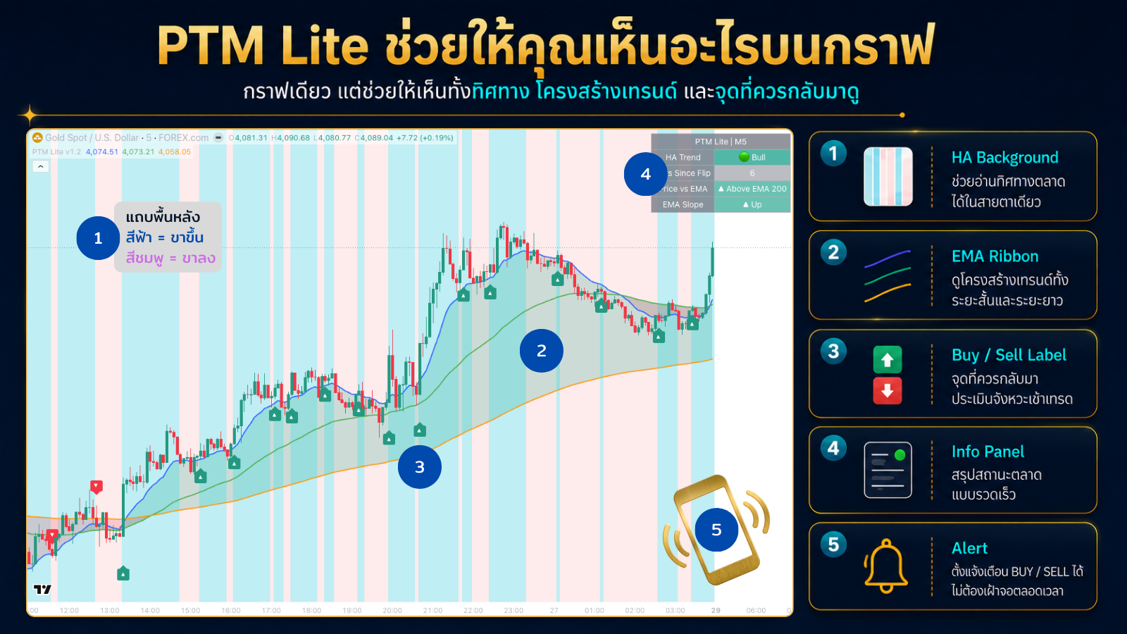 PTM Lite ช่วยให้เห็นอะไรบนกราฟ