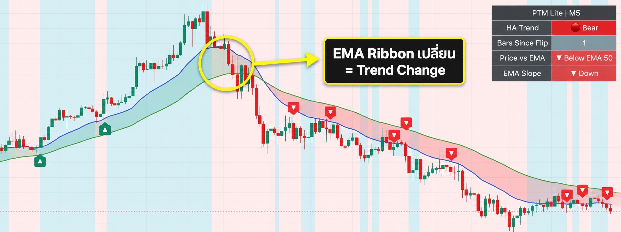 PTM Lite Indicator — EMA Ribbon และสัญญาณ Trend Change บน TradingView